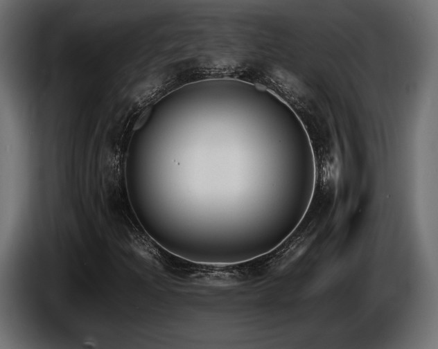 X0000086721204200704131036
