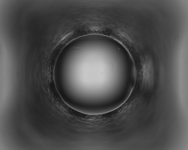X0000086721205200704131036