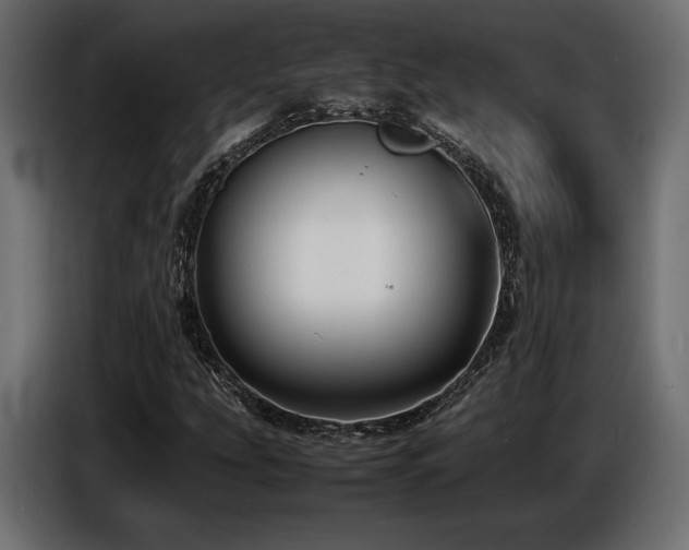 X0000086721207200704131036