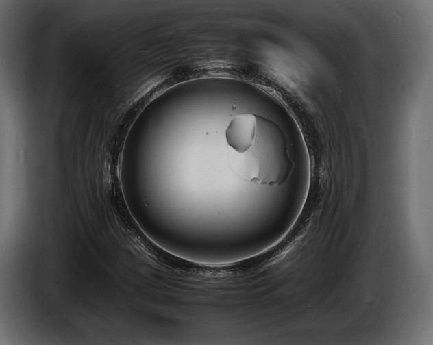 X0000086721209200704131036