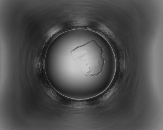 X0000086721210200704131036