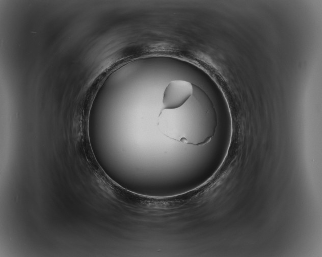 X0000086721211200704131036