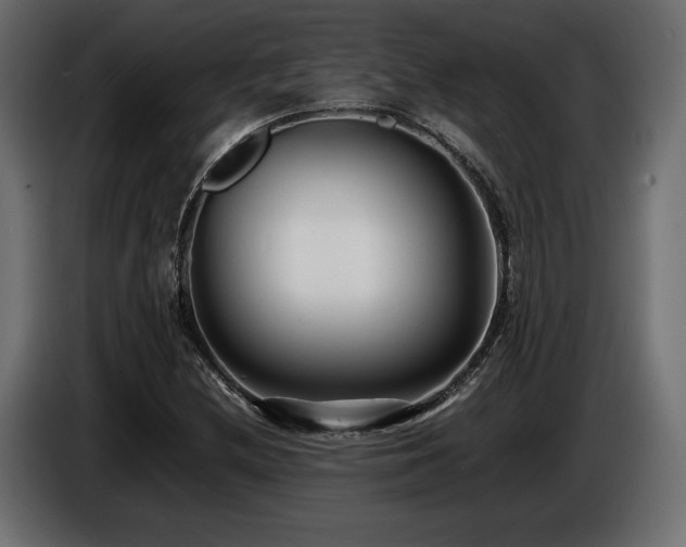 X0000086721212200704131036