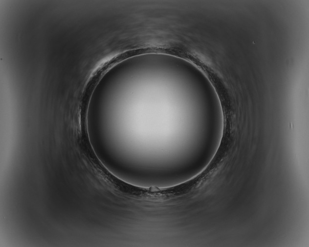 X0000086721214200704131036
