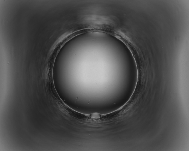 X0000086721215200704131036