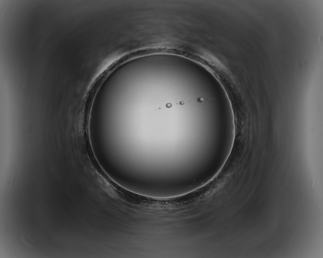 X0000086721216200704131036