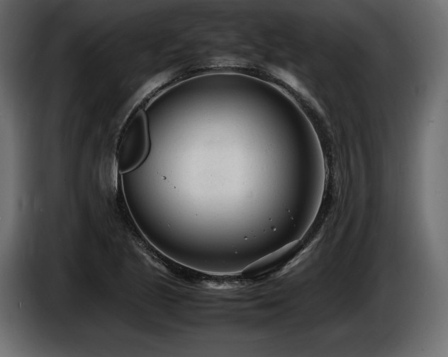 X0000086721221200704131036