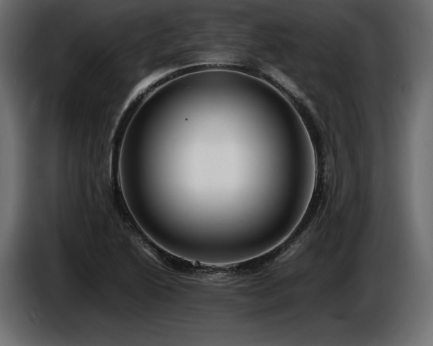 X0000086721222200704131036