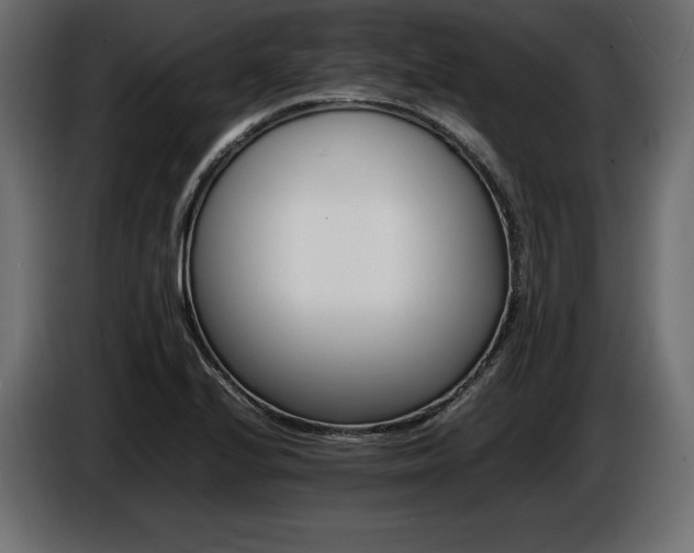X0000086721224200704131036