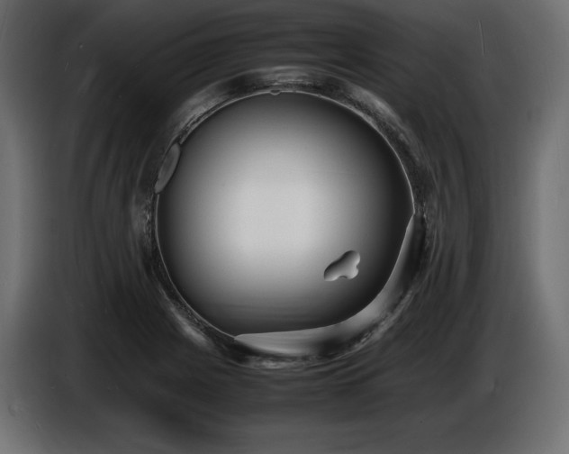 X0000086721225200704131036