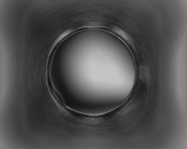 X0000086721229200704131036