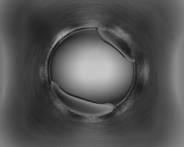 X0000086721230200704131036