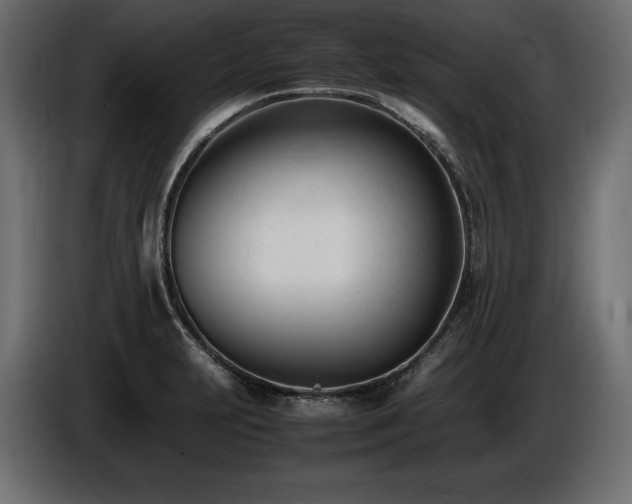 X0000086721231200704131036