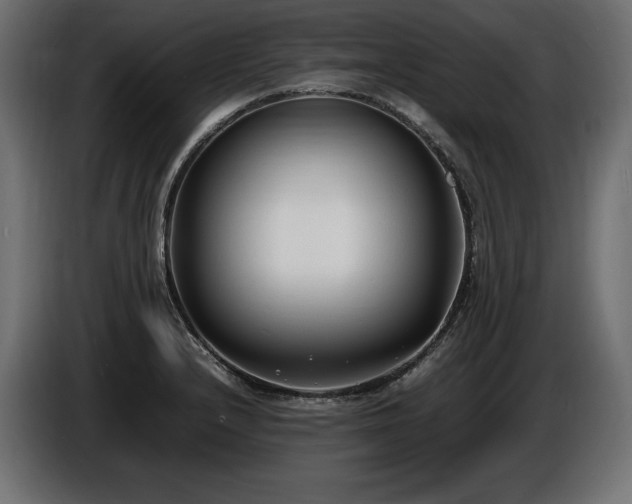X0000086721232200704131036