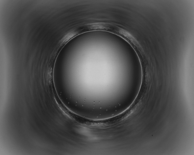 X0000086721233200704131036