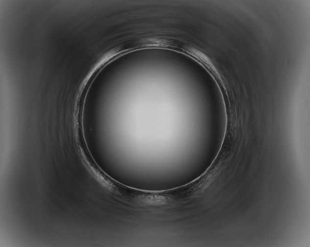 X0000086721235200704131036