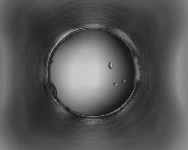 X0000086721236200704131036