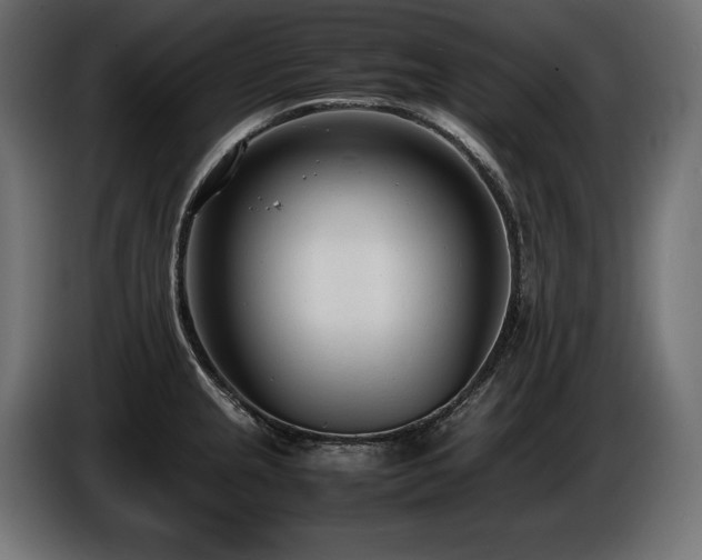 X0000086721237200704131036
