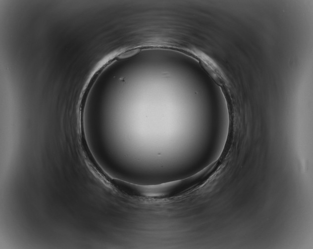 X0000086721238200704131036