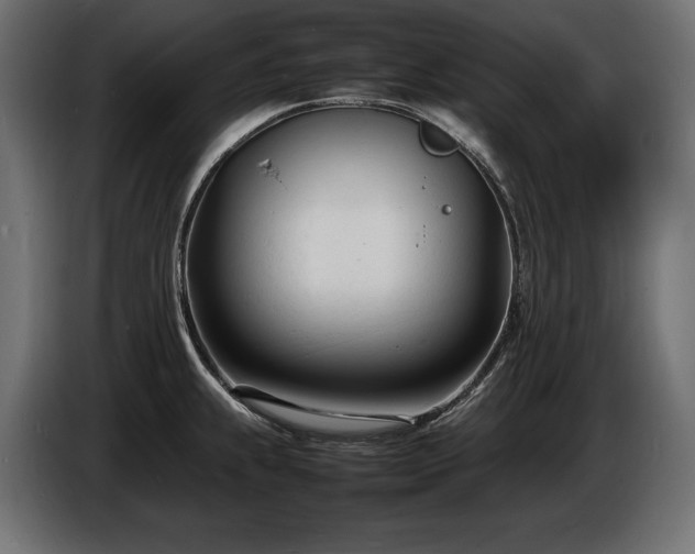 X0000086721239200704131037