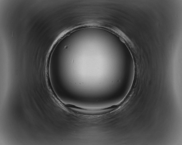 X0000086721240200704131037