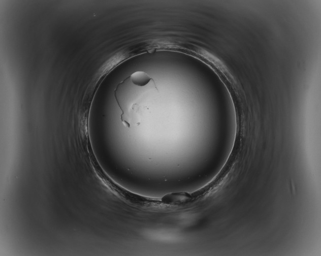 X0000086721241200704131037