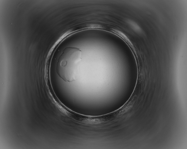 X0000086721243200704131037