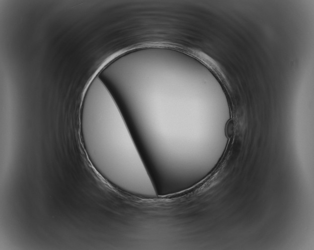 X0000086721244200704131037