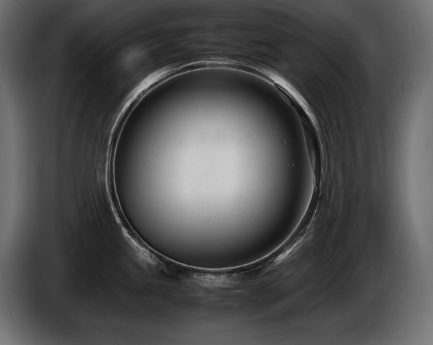 X0000086721245200704131037