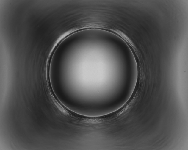 X0000086721246200704131037