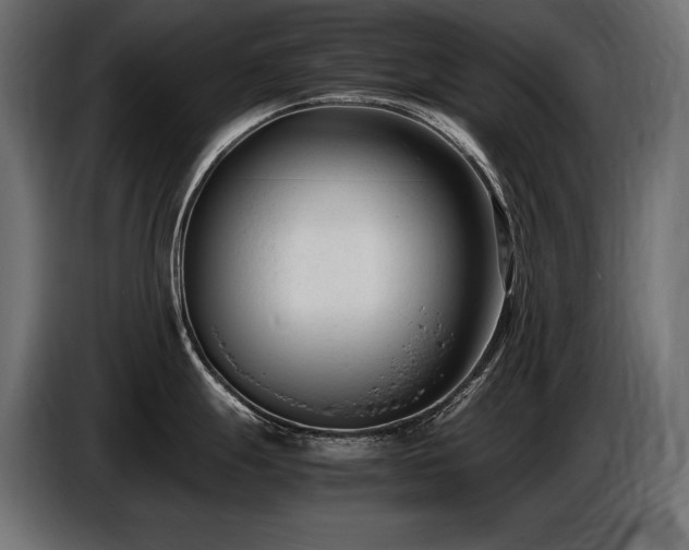 X0000086721247200704131037
