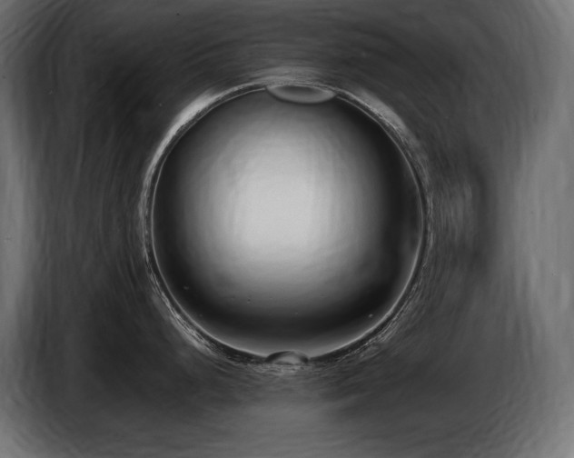 X0000086721248200704131037