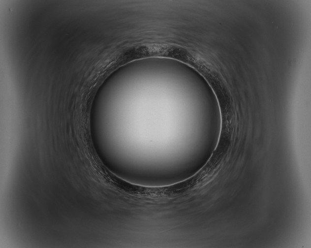 X0000086721249200704131036