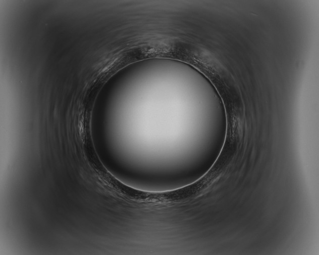 X0000086721250200704131036