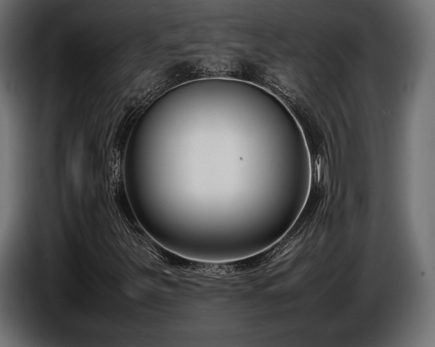 X0000086721251200704131036
