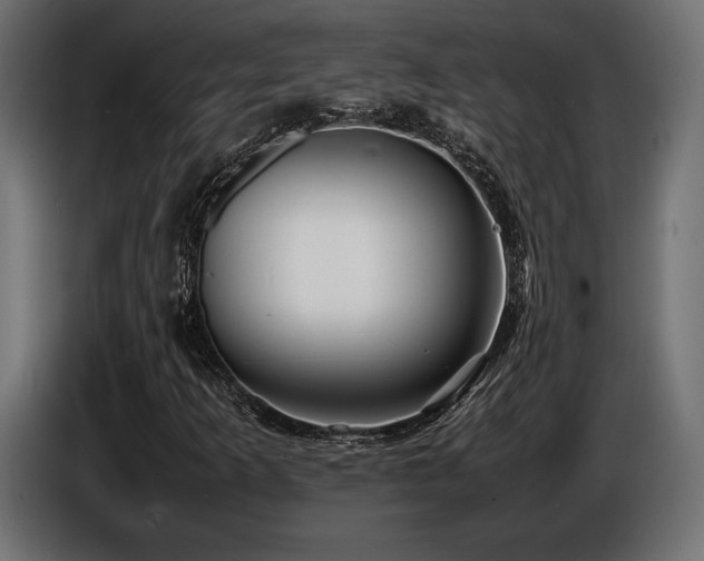 X0000086721253200704131036