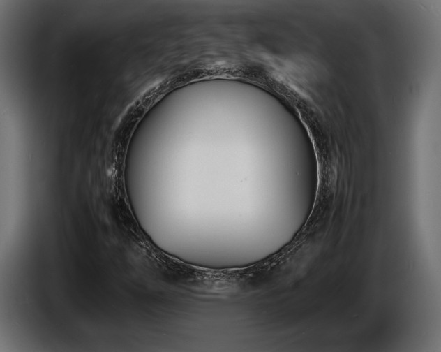 X0000086721254200704131036