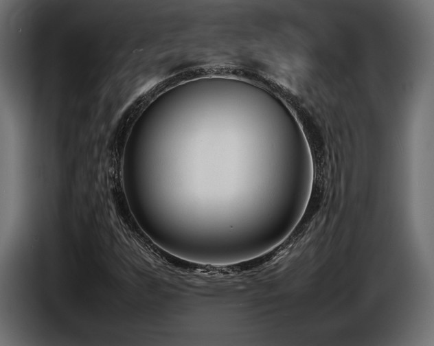 X0000086721255200704131036