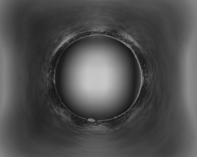 X0000086721256200704131036