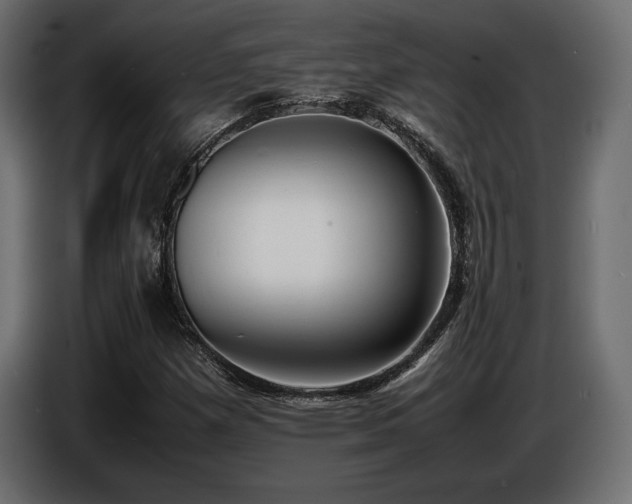X0000086721257200704131036