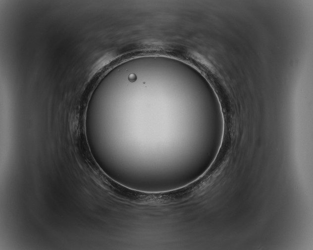 X0000086721259200704131036