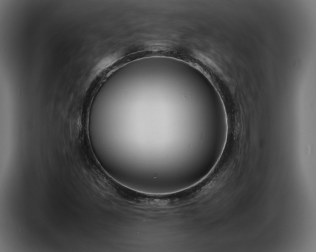 X0000086721261200704131036