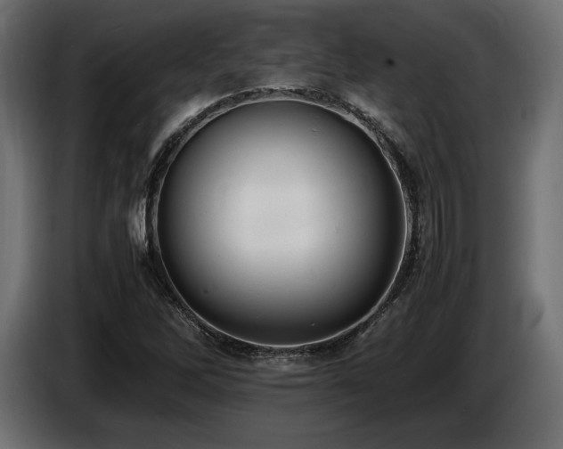X0000086721262200704131036