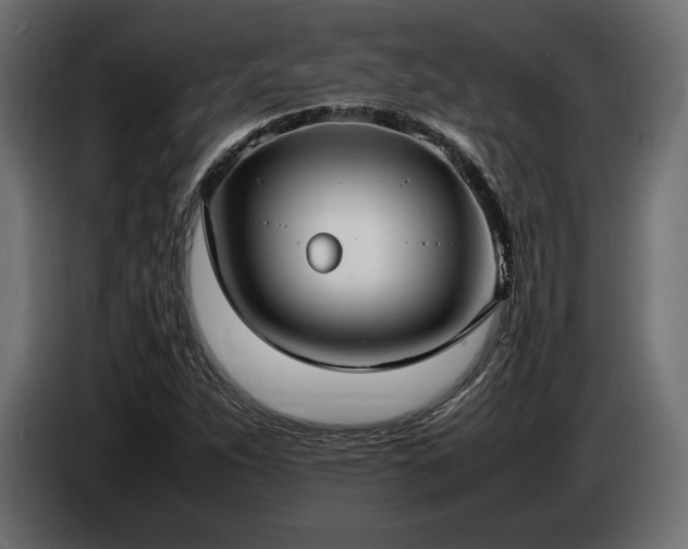 X0000086721263200704131036