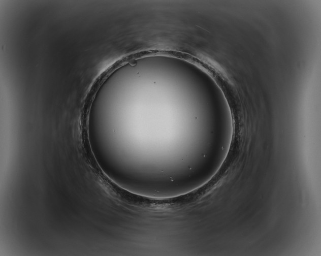 X0000086721264200704131036