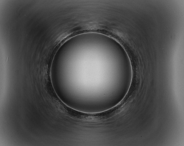 X0000086721265200704131036