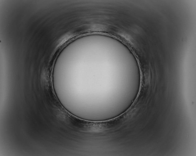 X0000086721266200704131036