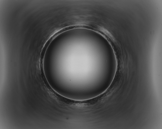 X0000086721268200704131036