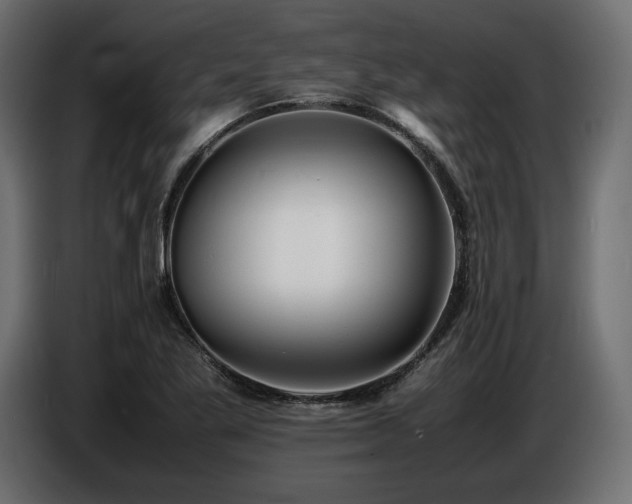 X0000086721269200704131036