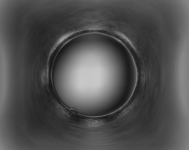 X0000086721270200704131036